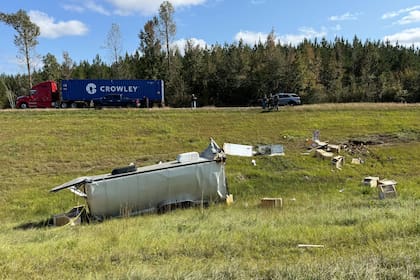 Mujer en Mississippi mata a un mono que se escapó por temor a que agrediera a sus hijos