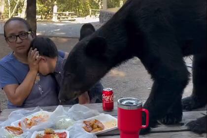Mujer mantiene un encuentro muy cercano con un oso en México