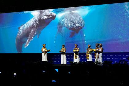 Mujeres afrocolombianas actúan en la inauguración de la COP16, la conferencia de Naciones Unidas sobre biodiversidad, en Cali, Colombia, el 20 de octubre de 2024. (AP Foto/Fernando Vergara)