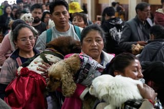 Gran cantidad de perros asisten a misa por la festividad de San Roque en Bolivia