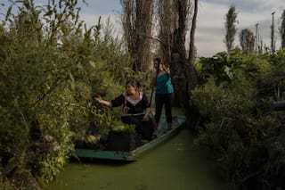 Mujeres que están luchando por preservar las milenarias islas de cultivo de Ciudad de México