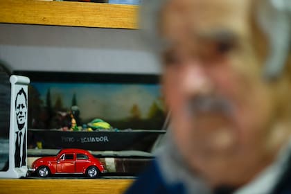 Mujica en su chacra en las afueras de Montevideo.