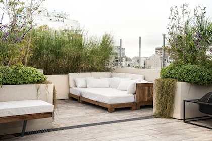 Multiplicar plantas a partir de pocos ejemplares permite sumar verde a la terraza de forma gradual y sin grandes gastos
