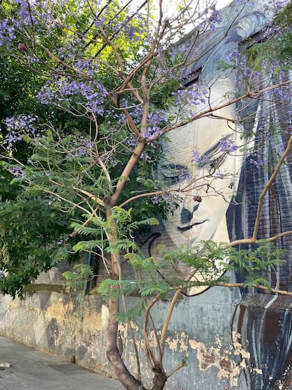 Mural de Martín Ron sobre Aristóbulo del Valle