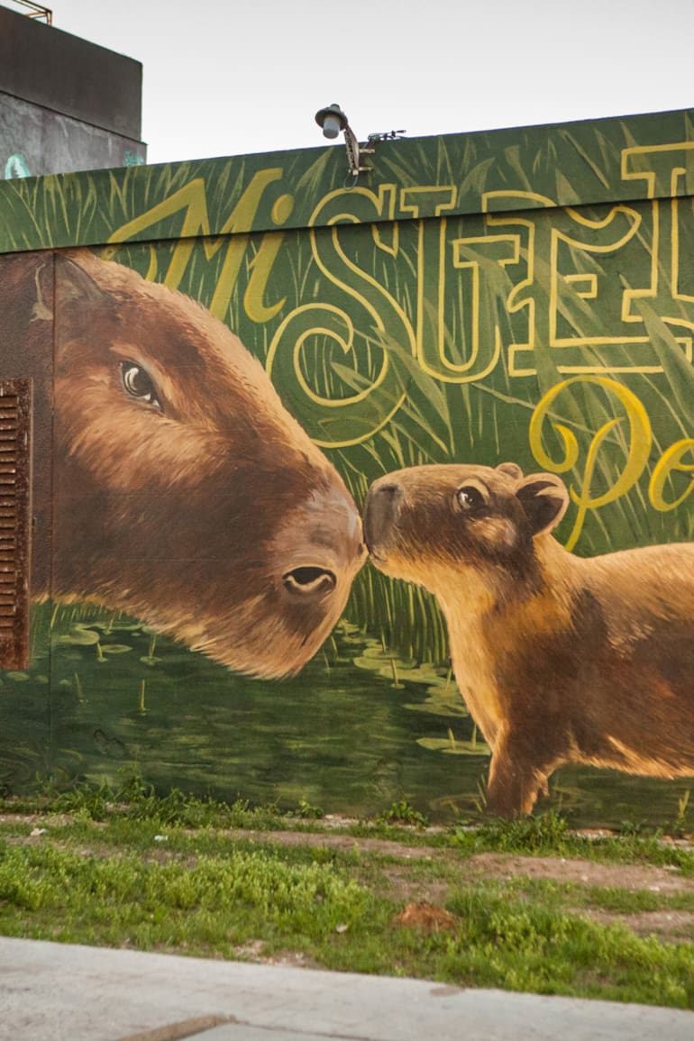Mural que es reinterpretación del chamamé 'La Tincha'.