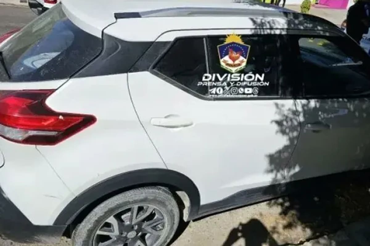 Murió el nene de tres años que sus padres olvidaron encerrado en el auto durante seis horas en Neuquén