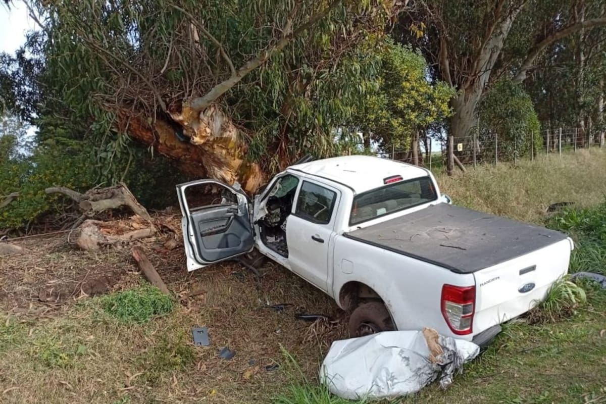 Murió un hombre que había chocado contra un árbol camino a Miramar