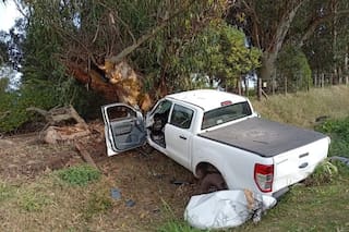 Iba en camioneta a Miramar, perdió el control, chocó contra un árbol y murió una semana después