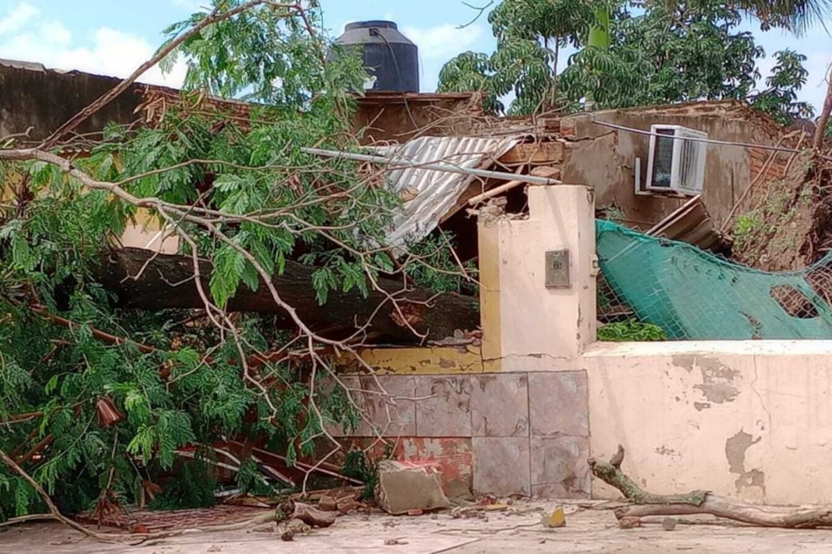 Murió un niño de un año por la caída de un árbol en medio del temporal de Formosa
