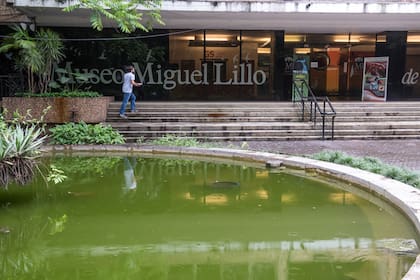 Museo Miguel Lillo.