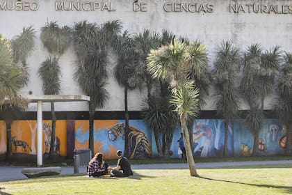 Museo Municipal De Ciencias Naturales Lorenzo Scaglia, donde Gabriela está a cargo del acuario.
