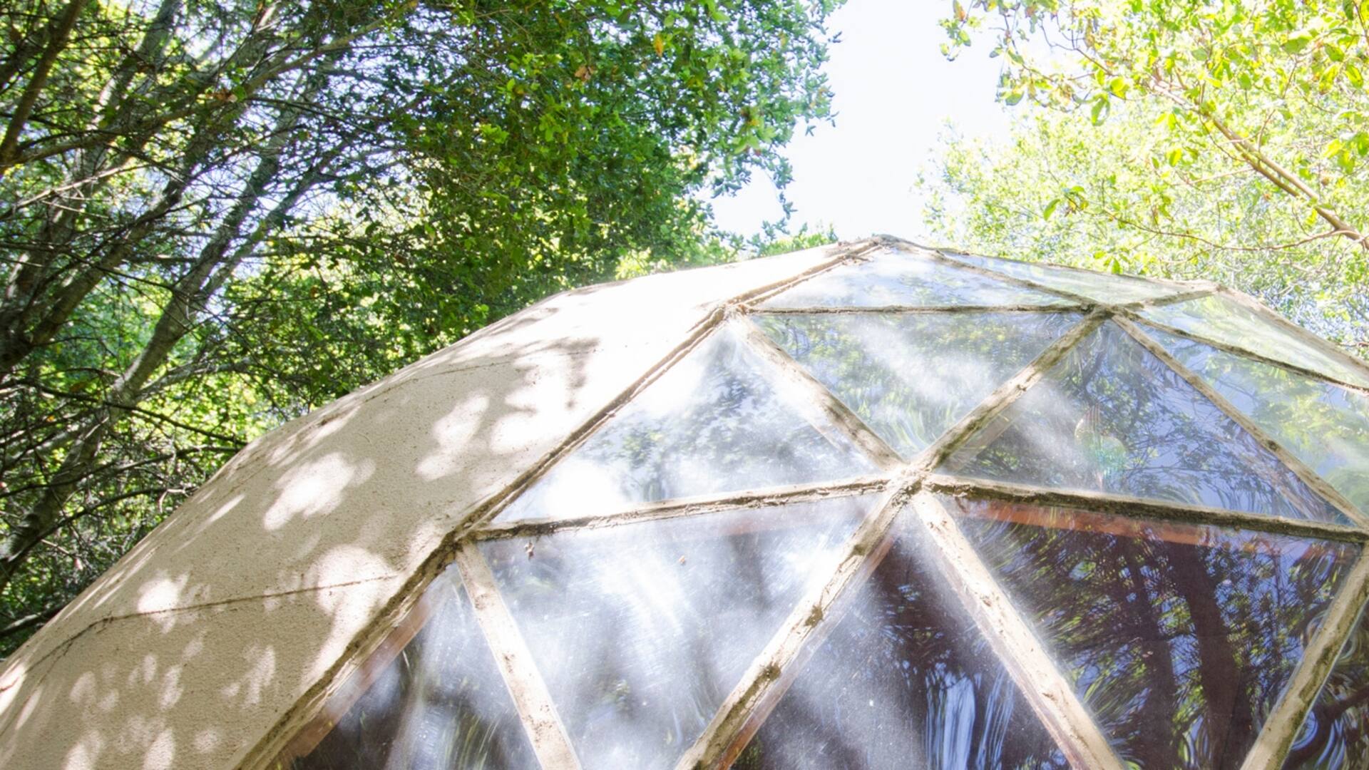 Mushroom Dome
