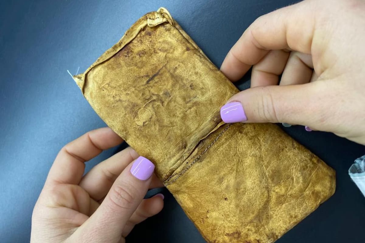 Mycorium Biotech acaba de recibir US$100.000 de inversión al participar del programa de aceleración Climate Technology en su proyecto de producción de cuero ecológico