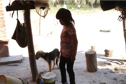 n la comunidad de Techat viven cerca de 100 familias Wichi