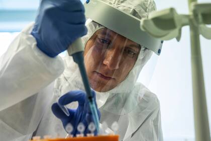 Este conocimiento puede ayudar a disminuir los efectos perjudiciales y las secuelas de la infección y también podría usarse para diseñar virus atenuados para el desarrollo de vacunas