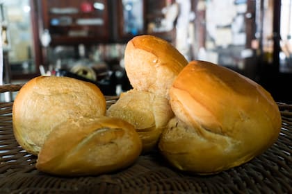 Nada más rico que la galleta de campo