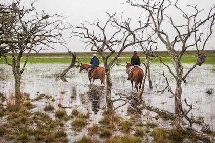 Nadar con caballos por los esteros es una experiencia única para quienes visiten este destino.