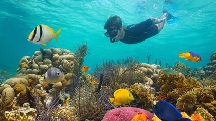 Nadar o hacer snorkel aquí es garantía de encuentro con peces de colores y corales