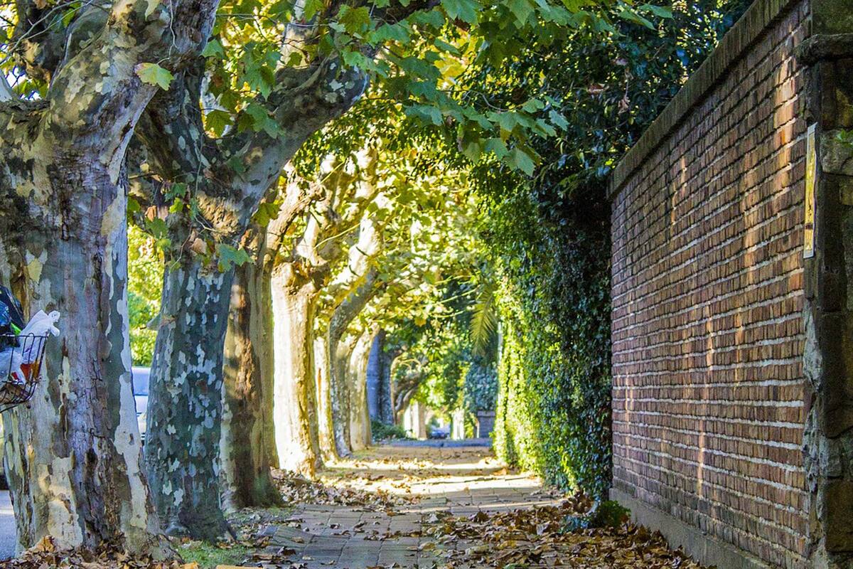 Nadie sabe cuándo comenzarán las vacaciones de invierno en la Argentina