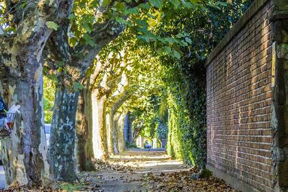 Nadie sabe cuándo comenzarán las vacaciones de invierno en la Argentina