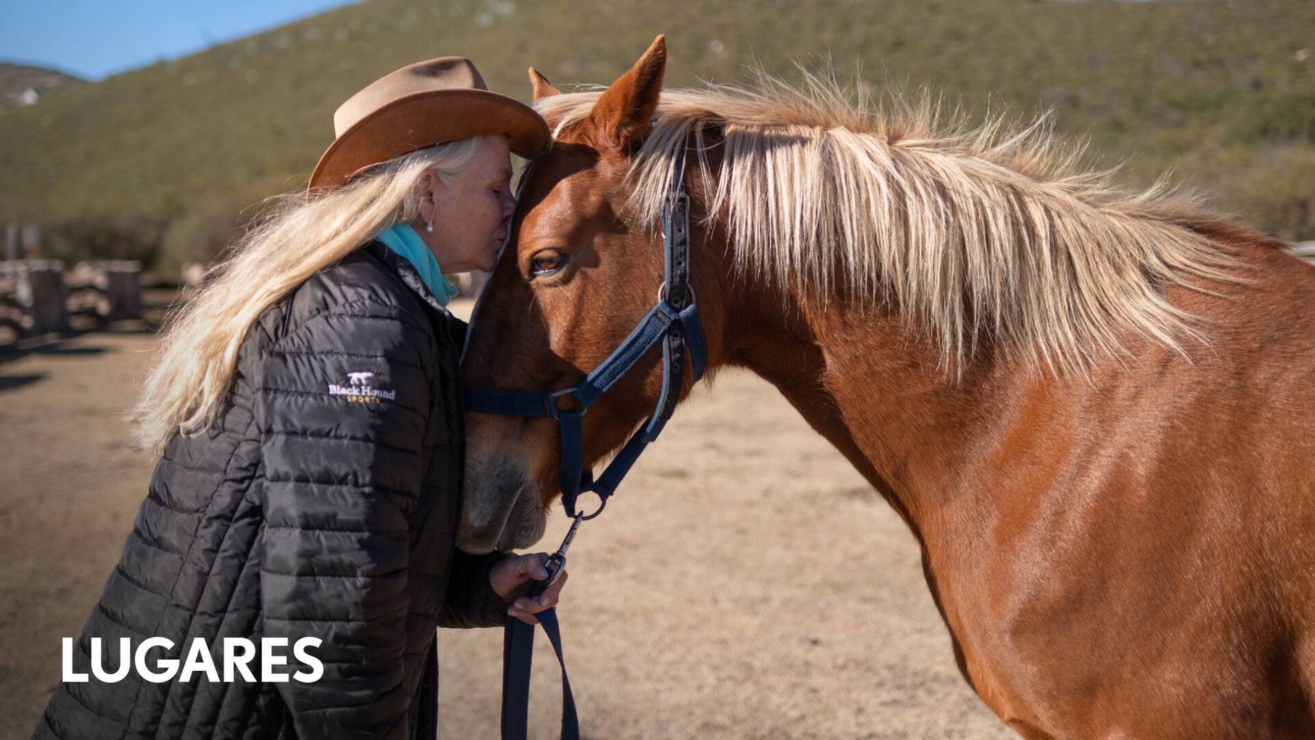 Nadine Bell, experta en coaching con caballos