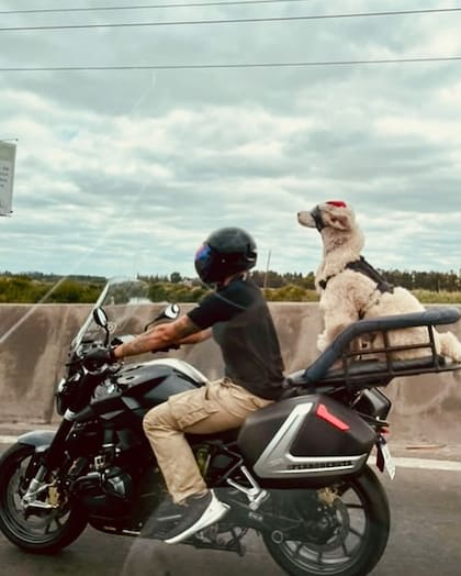 Nahuel junto a Nuria, su caniche de 6 años, quien disfruta los viajes en moto