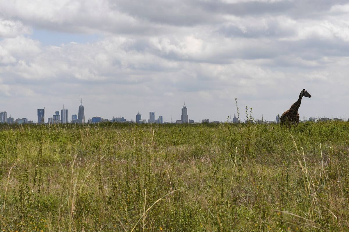 Nairobi, Kenia. Edición fotográfica de Jesica Rizzo