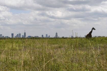 Nairobi, Kenia. Edición fotográfica de Jesica Rizzo