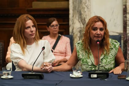 Nancy Pazos y Agustina Kämpfer participaron de una reunión conjunta en Diputados sobre la prevención y erradicación de la violencia contra las mujeres