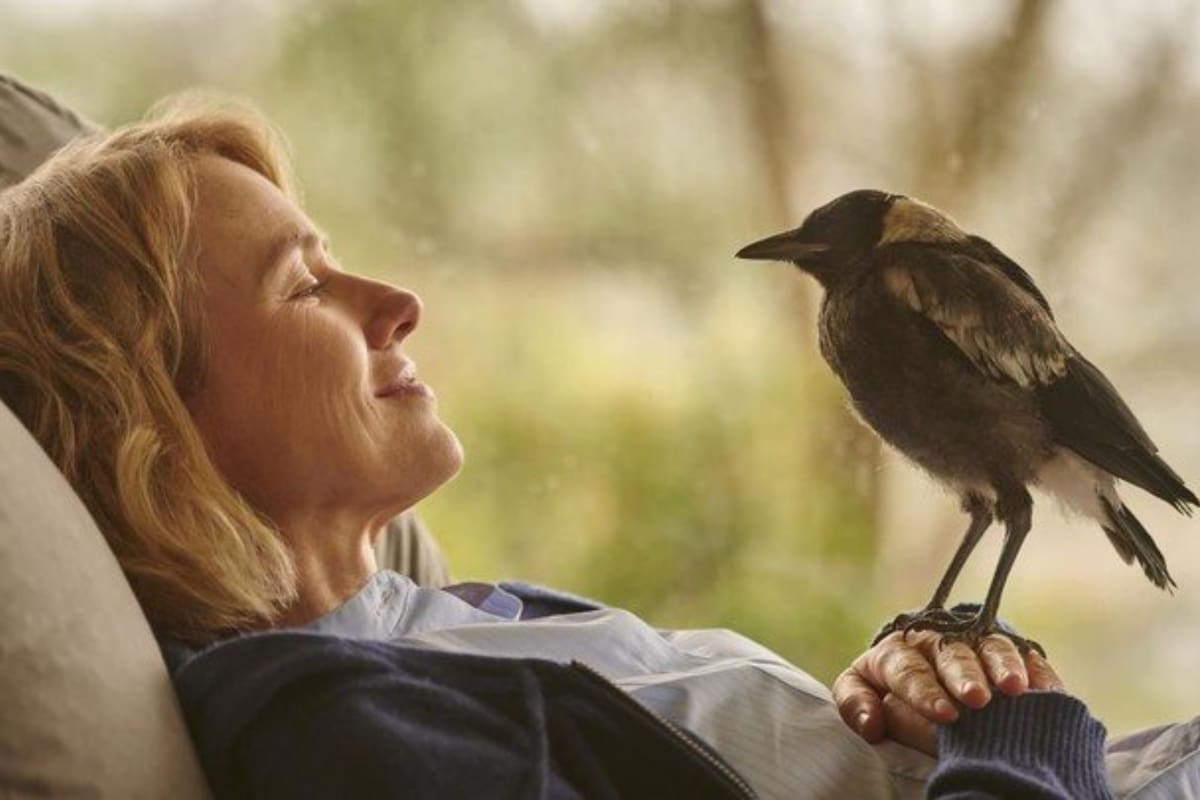 Naomi Watts es la protagonista de Penguin Bloom, la película de Netflix que se ubicó entre las más vistas en Argentina