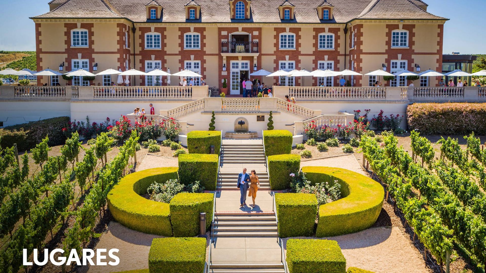 Napa es un polo atractivo para los argentinos que visitan California o que se aventuran desde San Francisco.