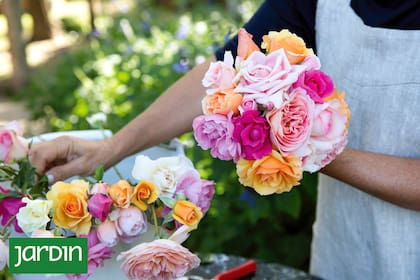 Naranjas, blancas, fucsias, rosas, rosadas... además de los colores, las formas de sus flores, la altura que alcanzan sus plantes y las formas de cuidado varían entre los diversos tipos de rosas