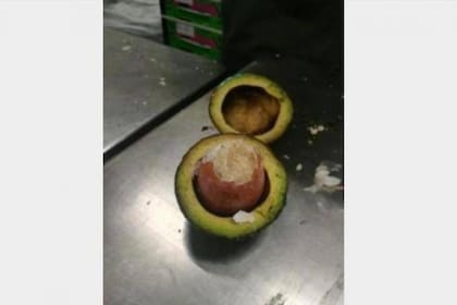 Los narcos cambiaron los carozos de las paltas por objetos similares cargados de cocaína y cubiertos de parafina