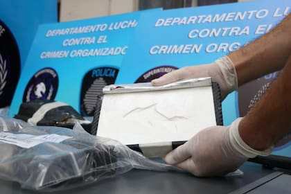 El misterioso sello del delfín en un cargamento de cocaína secuestrado en Saavedra