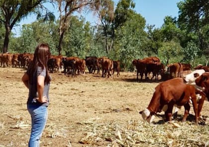 Natalia Auat junto a animales de la cabaña La Leonor SRL, el proyecto ganadero que impulsó en Santiago del Estero y que hoy combina genética, feedlot y comercialización de carne