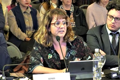 Natalia D’Alessandro, coordinadora de la Unidad AMIA del Ministerio de Justicia, reconoció la responsabilidad de la Argentina por la impunidad del atentado