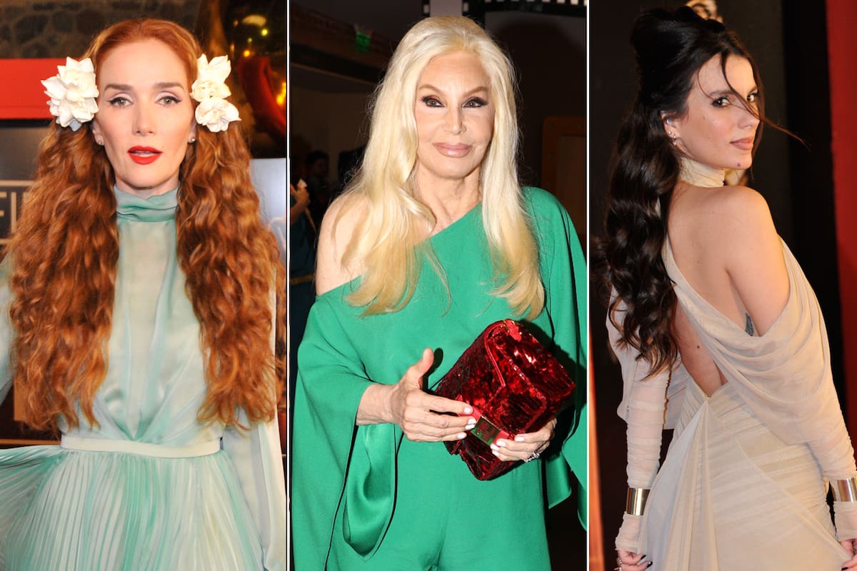 Natalia Oreiro, Susana Giménez y Gimena Accardi, tres figuras que desfilaron por la alfombra roja de los Martín Fierro de cine