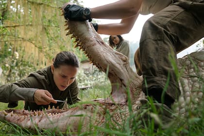 Natalie Portman y Tessa Thompson como dos de las integrantes de la expedición que ingresa en la misteriosa Área X