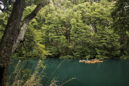 Naturaleza y aventura en el Parque Nacional Los Alerces