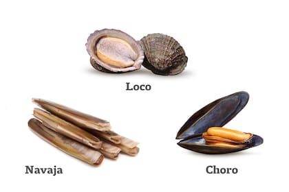 Navajas, choros y locos.