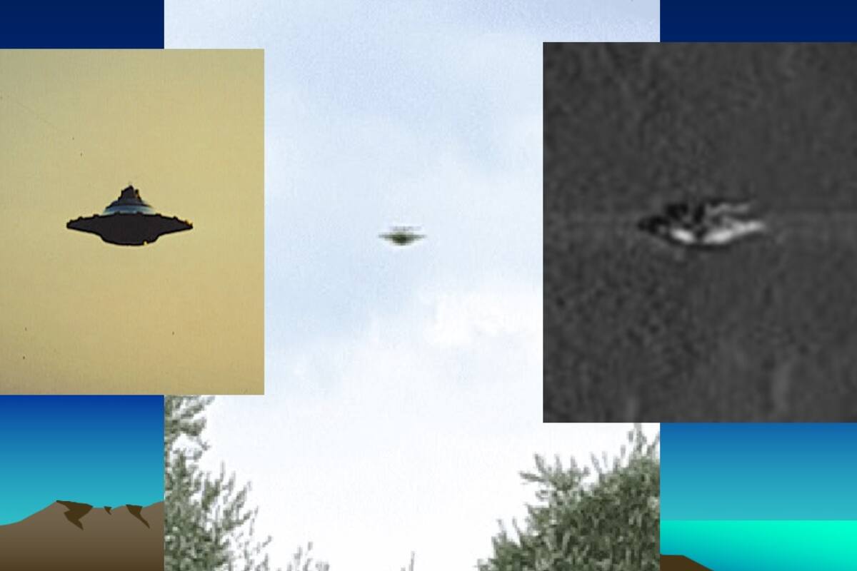 ¿Nave o ave? En muchas ocasiones, el presunto OVNI es un ave, un error de fotografía, un bicho capturado en movimiento, suciedad en el lente de la cámara, pájaros, globos de helio u hojas iluminadas por el flash