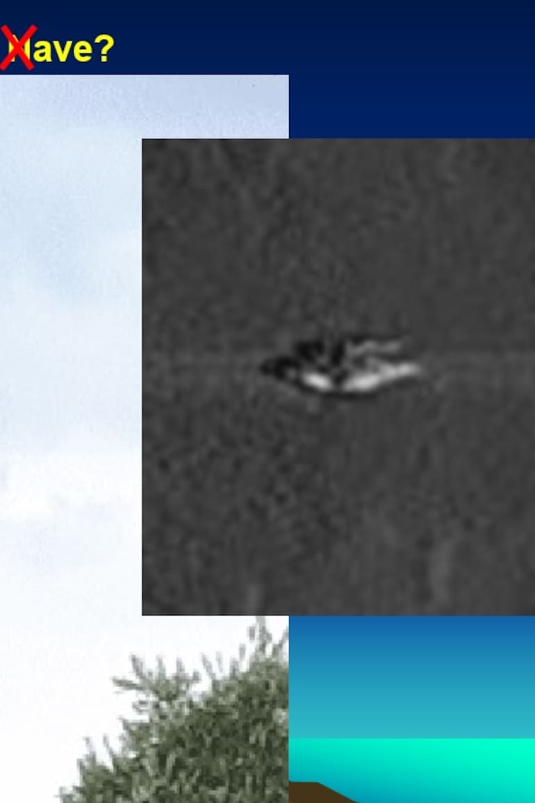 ¿Nave o ave? En muchas ocasiones, el presunto OVNI es un ave, un error de fotografía, un bicho capturado en movimiento, suciedad en el lente de la cámara, pájaros, globos de helio u hojas iluminadas por el flash