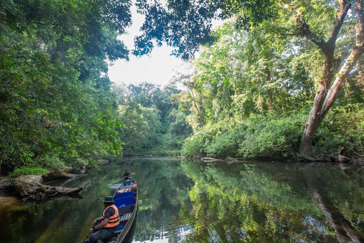 Navegación por el río Tahan, de aguas oscuras, donde vive el tigre que lo hizo famoso