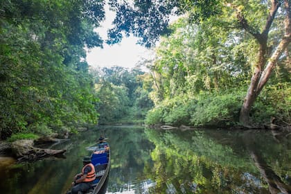 Navegación por el río Tahan, de aguas oscuras, donde vive el tigre que lo hizo famoso