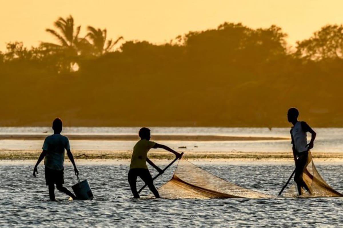 Navegar por el río colombiano que inspiró El amor en los tiempos del cólera es un de las mejores atracciones del mundo según Time Out (foto ilustrativa)