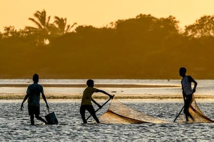 Navegar por el río colombiano que inspiró El amor en los tiempos del cólera es un de las mejores atracciones del mundo según Time Out (foto ilustrativa)