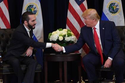 Nayib Bukele y Donald Trump acordaron que EE.UU. pagara más de seis millones de dólares por albergar a los primeros 300 migrantes deportados en el Cecot