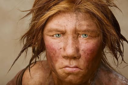Los neandertales habrían practicado el exocanibalismo, que es el que se practica sobre personas de grupos sociales ajenos