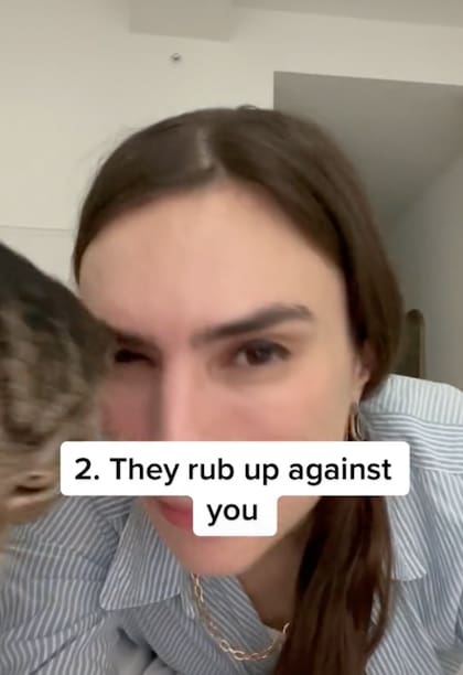 Neat Caroline es una organizadora con miles de seguidores en TikTok