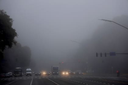 Neblina, parque República Oriental del Uruguay